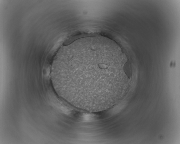 X0000113180336200909251448