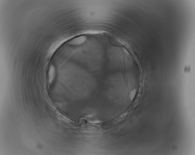 X0000113180337200909251447