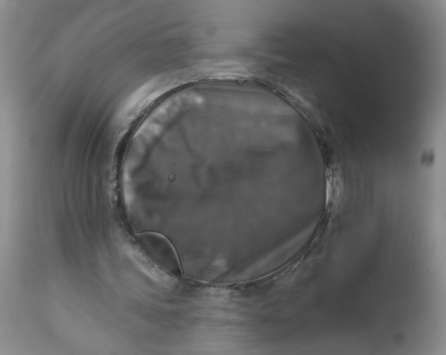 X0000113180339200909251447