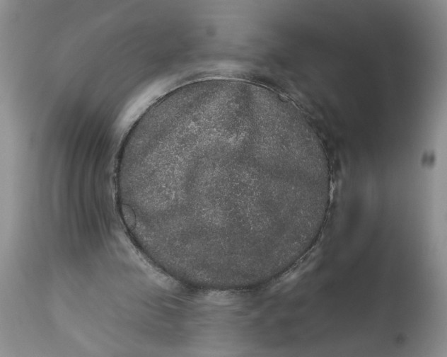 X0000113180341200909251447