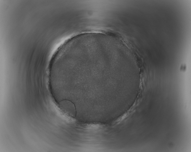 X0000113180342200909251447