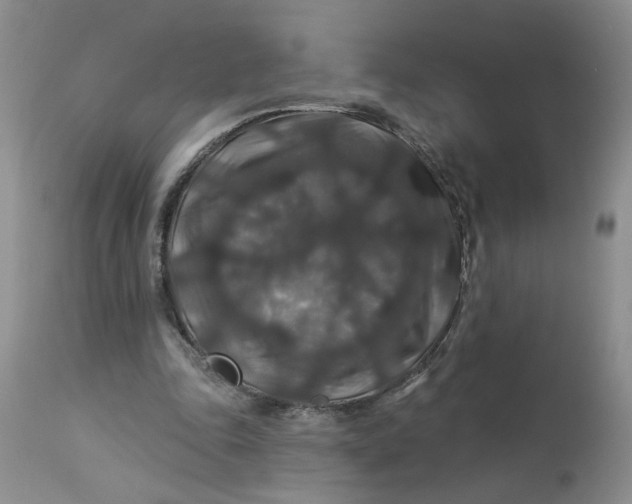X0000113180343200909251447