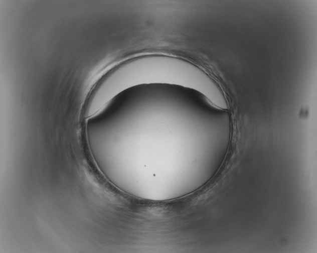 X0000113180344200909251447