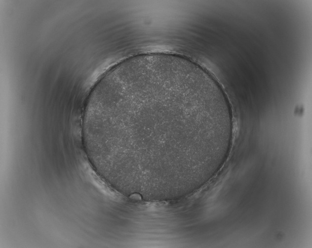 X0000113180345200909251447