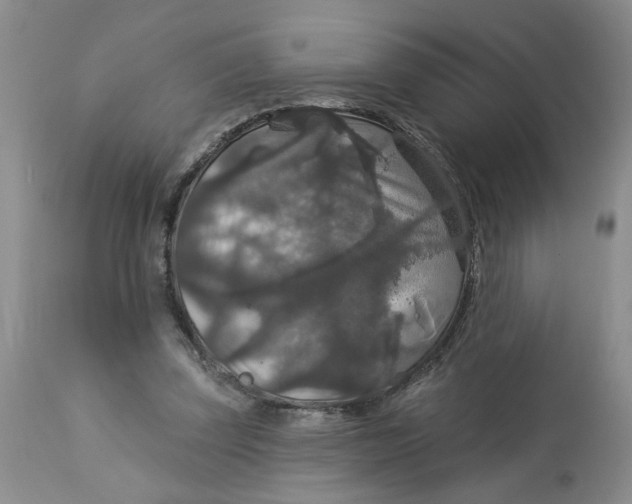 X0000113180347200909251447
