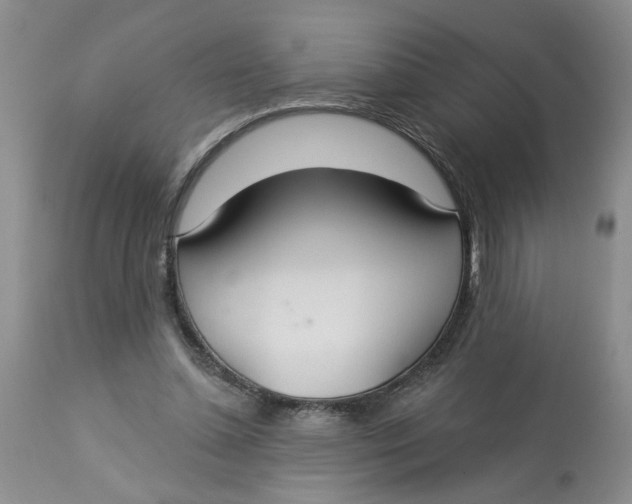 X0000113180348200909251447