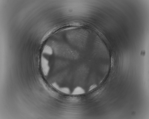 X0000113180349200909251447
