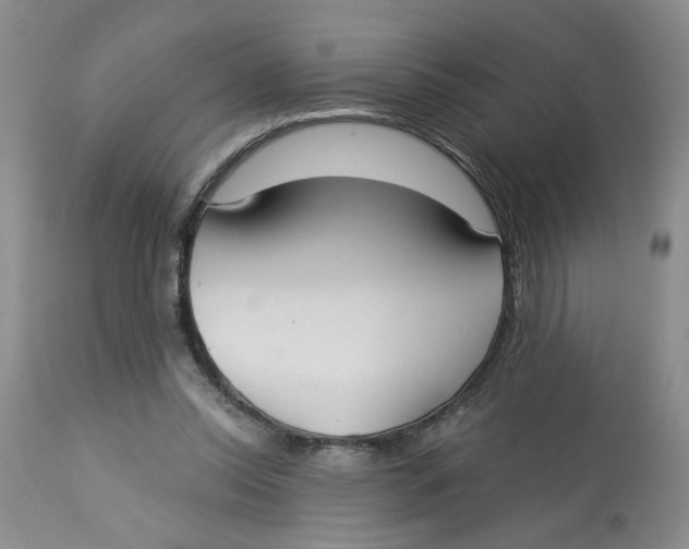 X0000113180350200909251447