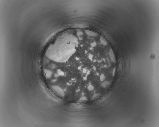 X0000113180351200909251447