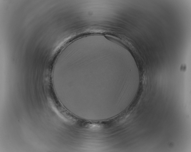 X0000113180352200909251447