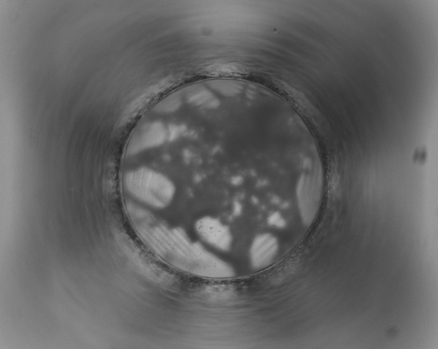 X0000113180353200909251447