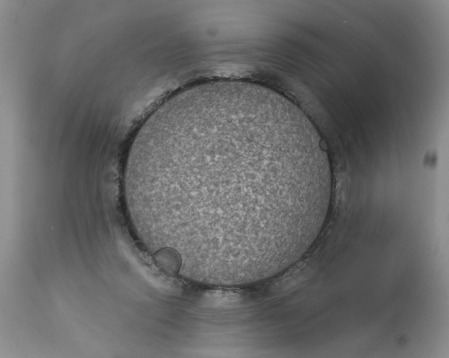 X0000113180354200909251447