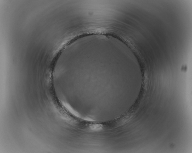 X0000113180355200909251447