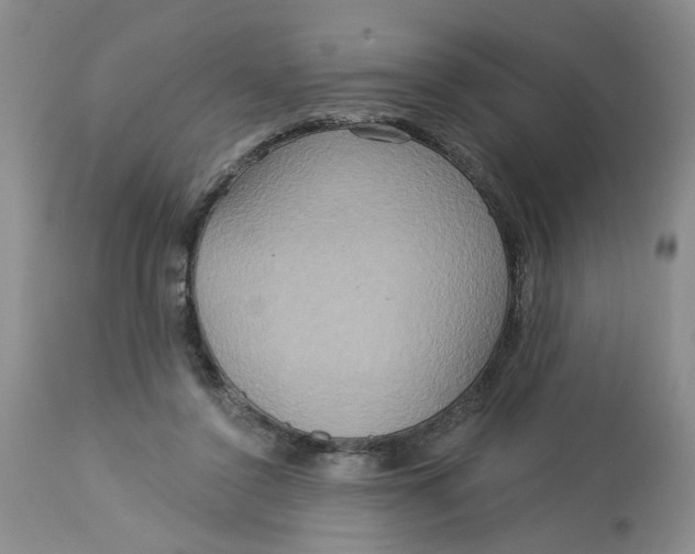 X0000113180356200909251447