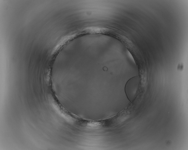 X0000113180357200909251448