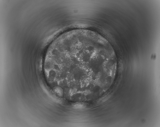 X0000113180358200909251448
