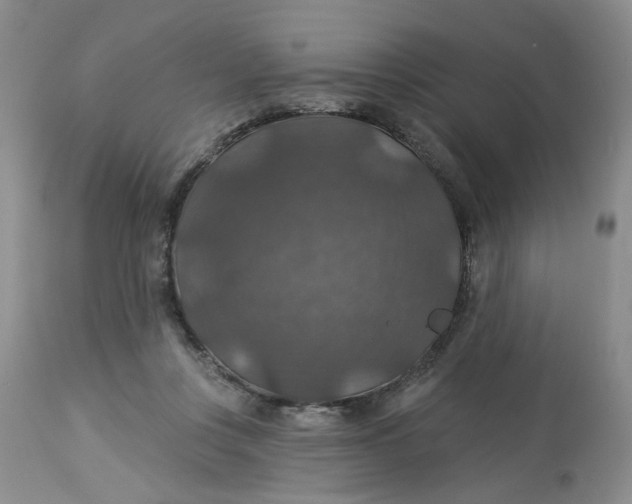 X0000113180359200909251448