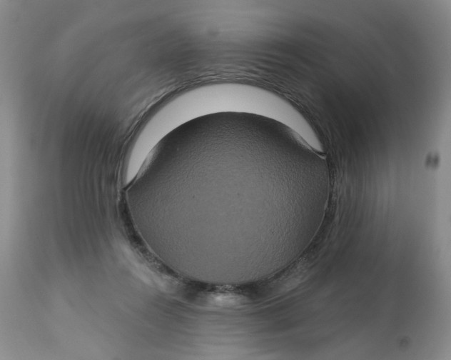 X0000113180360200909251448