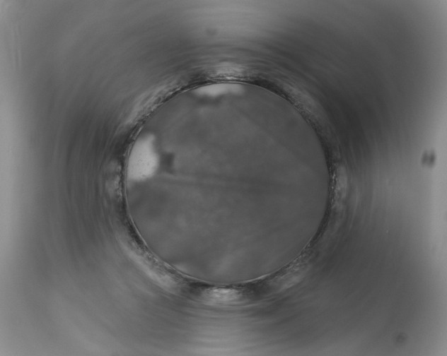 X0000113180361200909251448