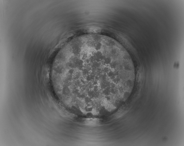X0000113180363200909251448