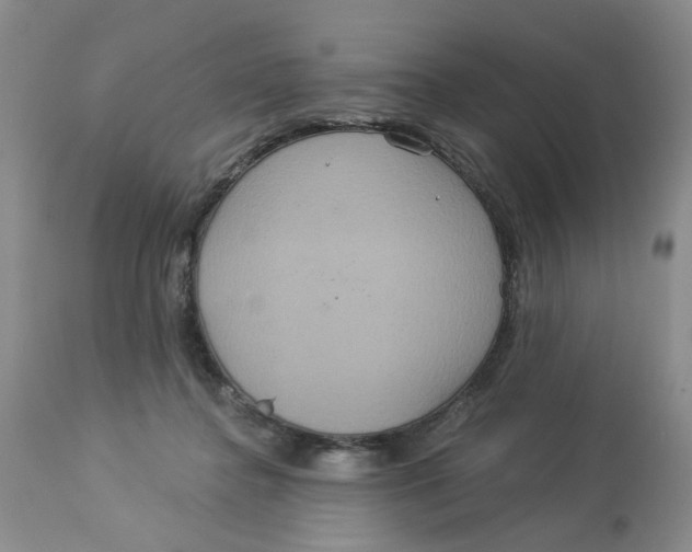 X0000113180364200909251448