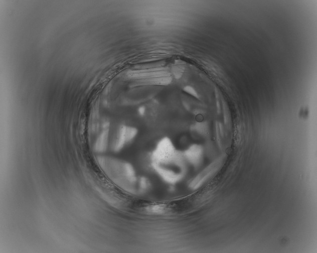 X0000113180365200909251448