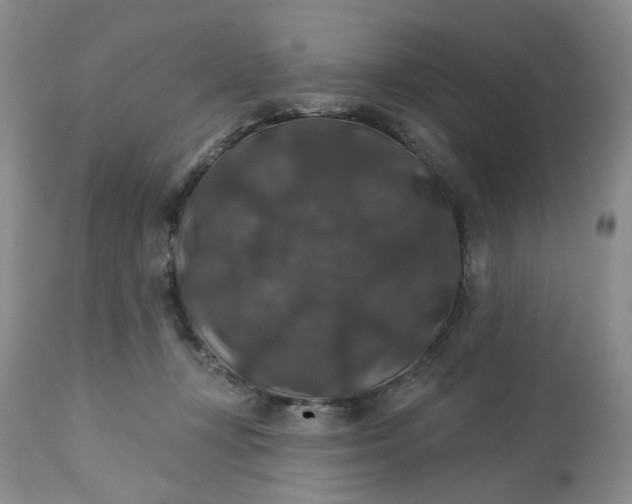 X0000113180367200909251448
