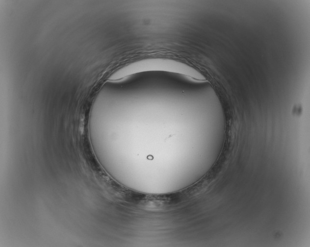 X0000113180368200909251448
