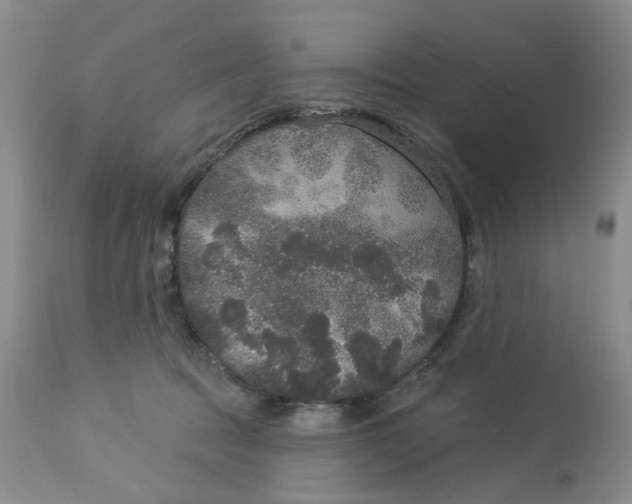 X0000113180369200909251448