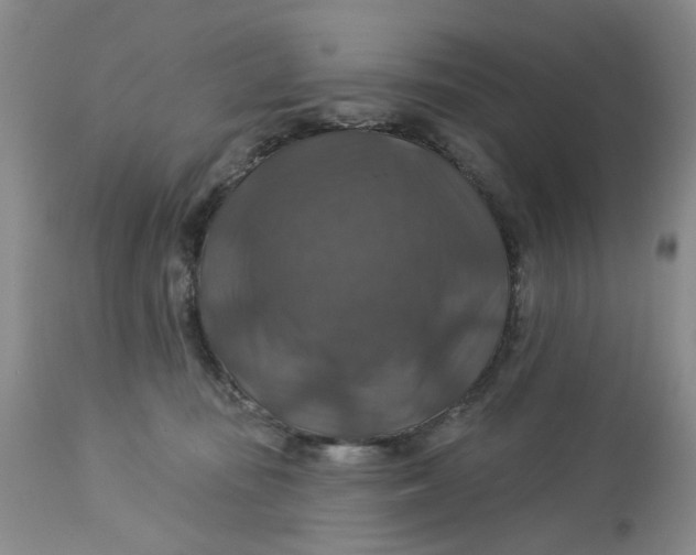X0000113180371200909251448
