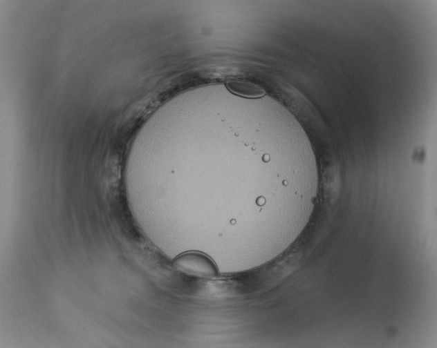 X0000113180372200909251448