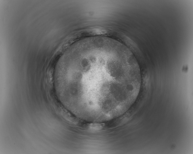 X0000113180373200909251448