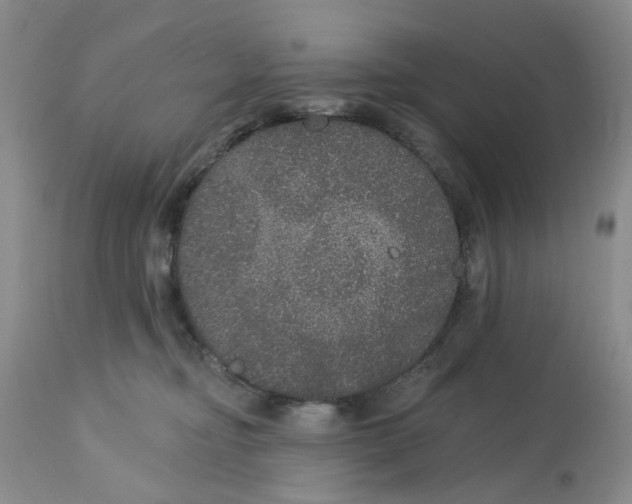 X0000113180374200909251448