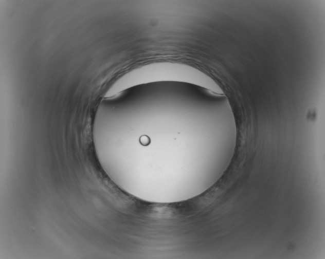X0000113180376200909251448
