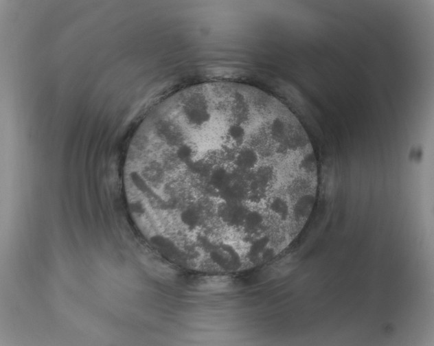 X0000113180377200909251448