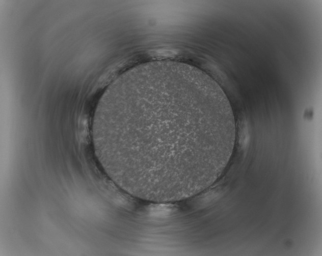 X0000113180378200909251448