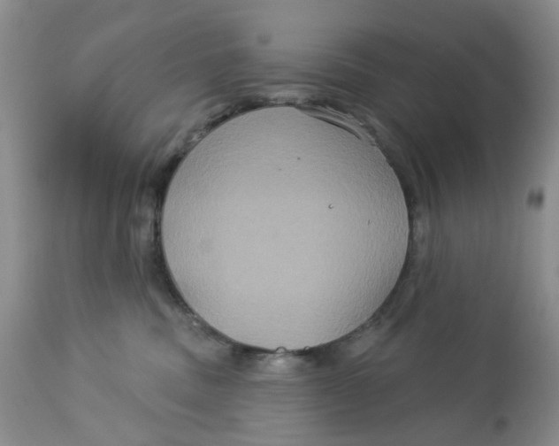 X0000113180379200909251448