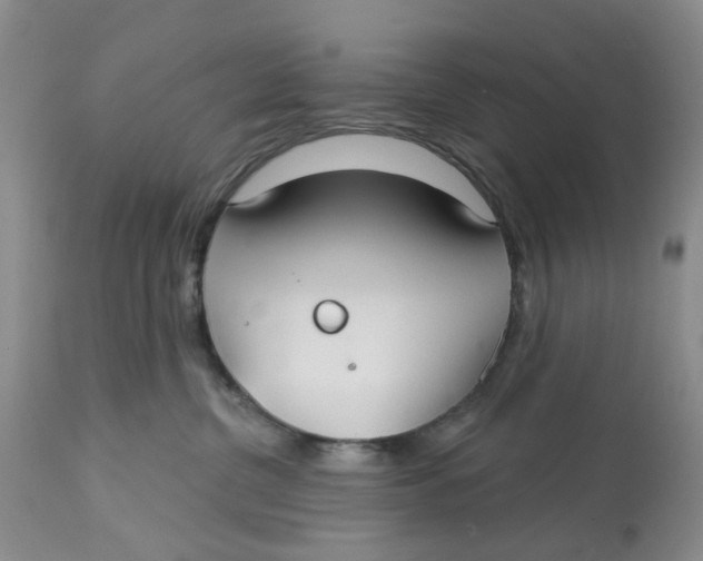 X0000113180380200909251448