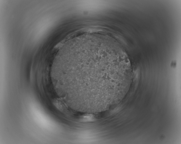 X0000113180381200909251448