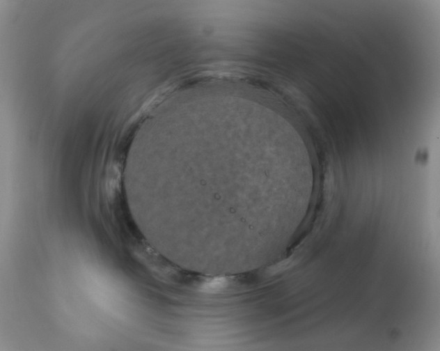 X0000113180382200909251448