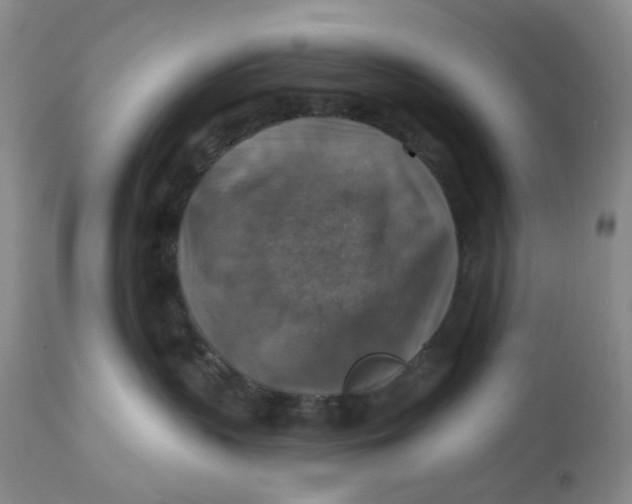 X0000113180383200909251448