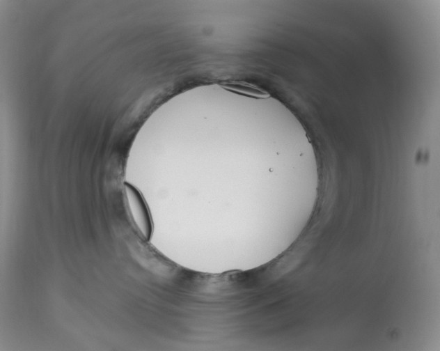 X0000113180384200909251448