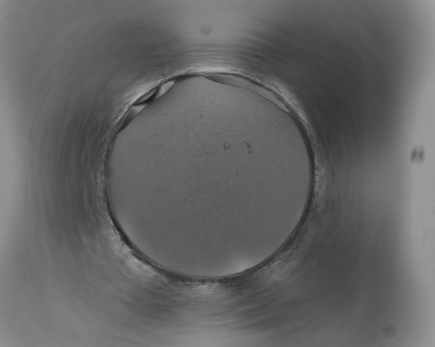 X0000113180385200909251447