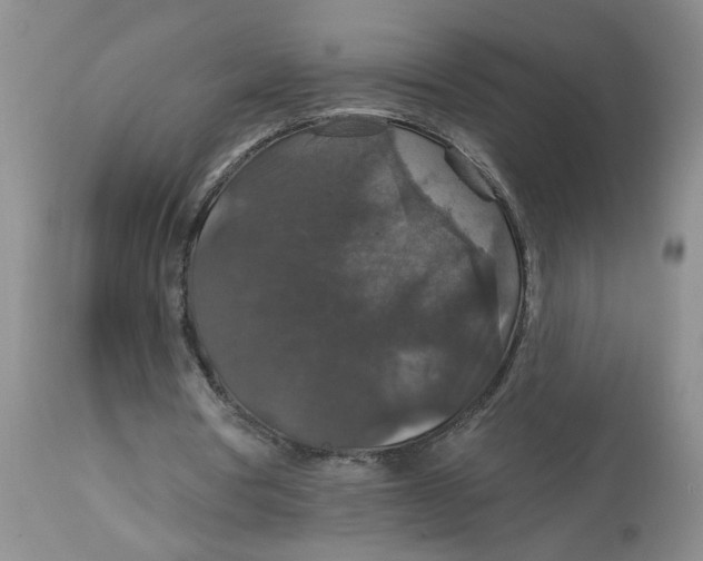 X0000113180386200909251447