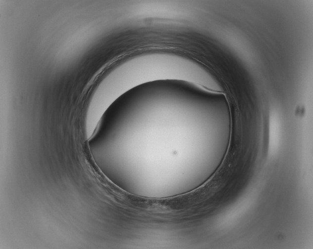 X0000113180387200909251447