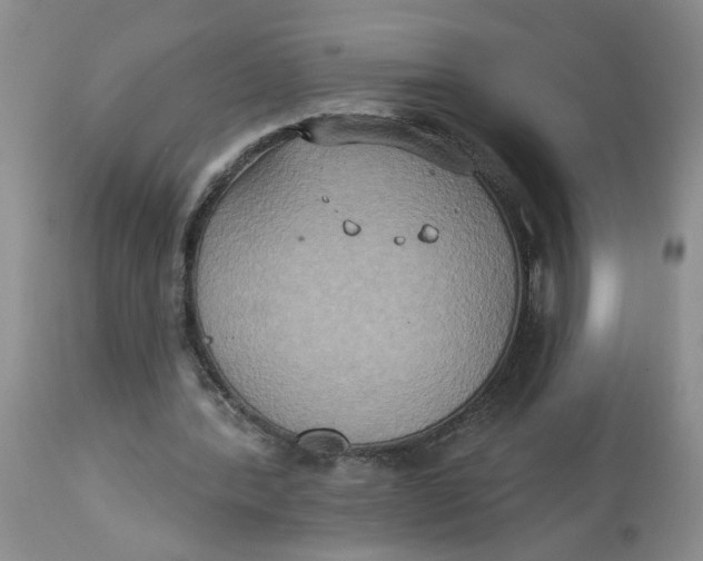 X0000113180388200909251447