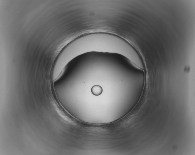 X0000113180389200909251447