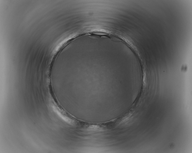 X0000113180390200909251447