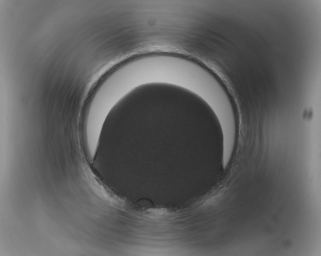 X0000113180391200909251447