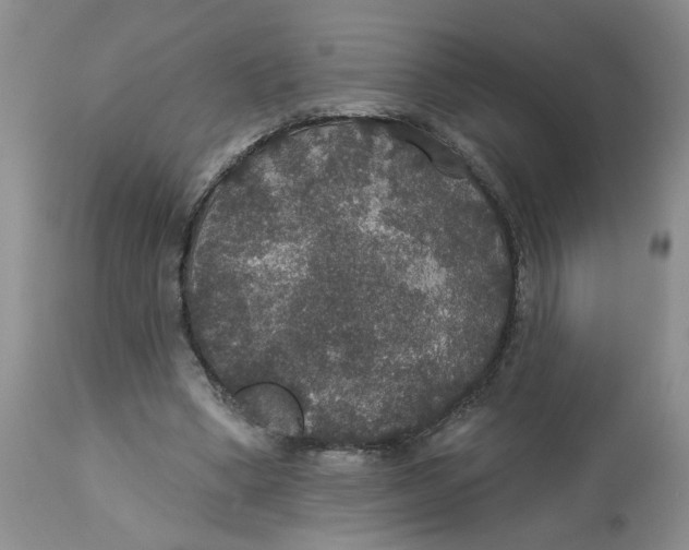 X0000113180394200909251447